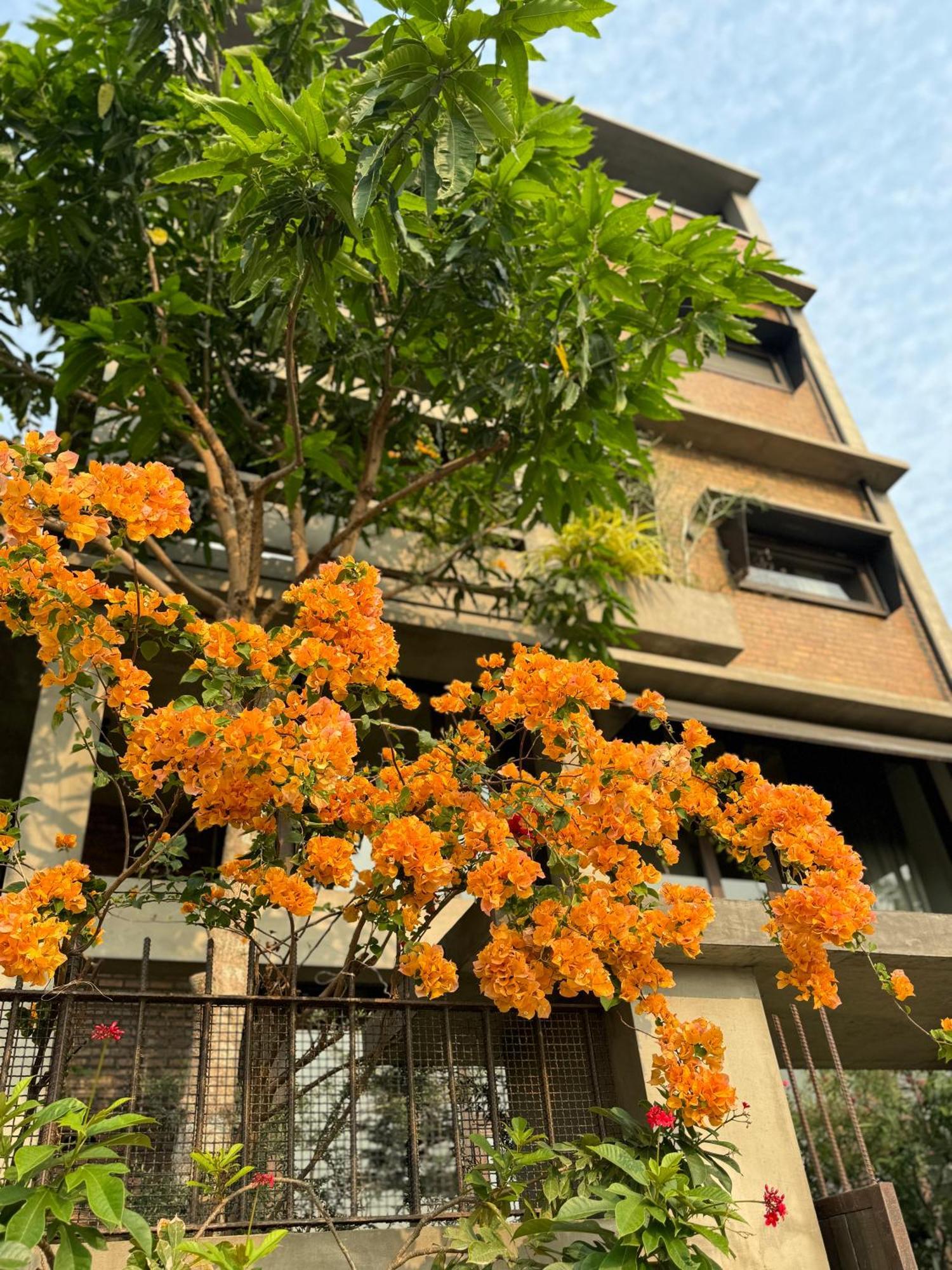 Kaia Gallery Hotel Hoi An Luaran gambar